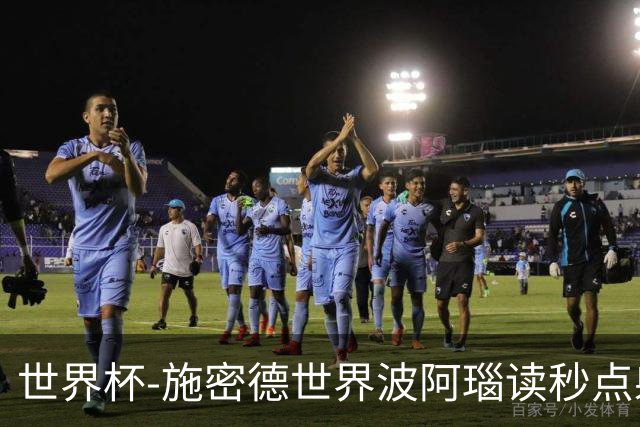 世界杯-施密德世界波阿瑙读秒点射破门 奥地利3-1约旦